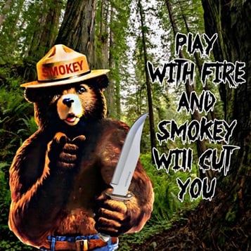 Name:  smokey_the_bear%20-%20Copy.jpg
Views: 15
Size:  44.9 KB