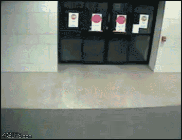 car_plows_thru_building.gif