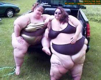 fatties.jpg