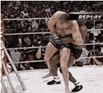 randlemanslamfedor4ic.gif