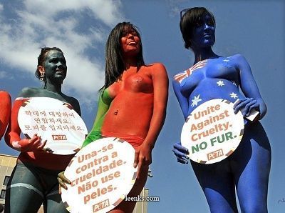 peta-1.jpg