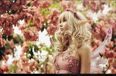 fairy-1.jpg