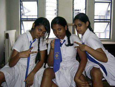 1385780_499021283541329_1596482620_n.jpg
