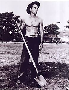 MontgomeryClift4.JPG