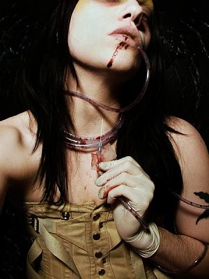 4a50a201d559f.jpg