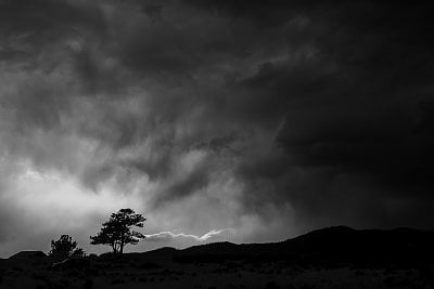 larimer-county-rural-road.jpg