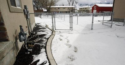 springville-backyard-tracks.jpg