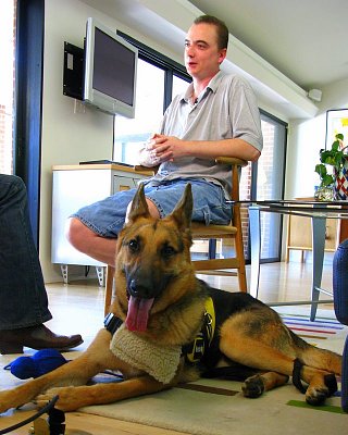 service-dog-calls-911-1.jpg