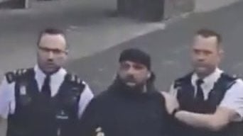 pp2.jpg