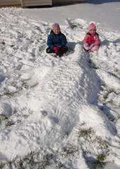img_2929_20110131112112_320_240.jpg