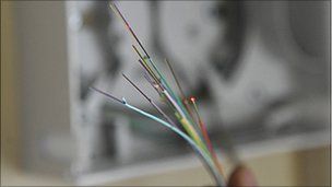 _52029184_52029182.jpg