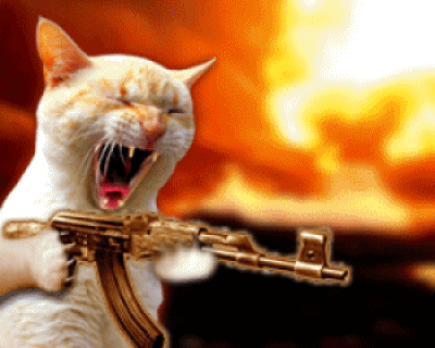 cat301[43].gif