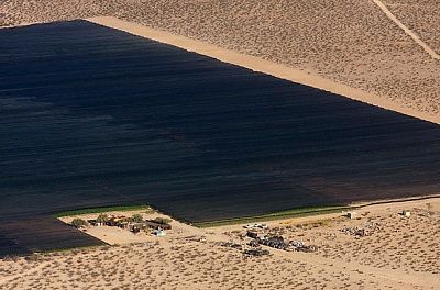 marijuana_plantation_09.jpg