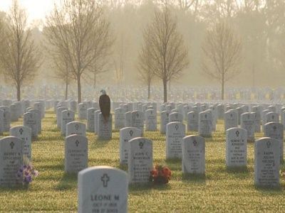eagle.jpg