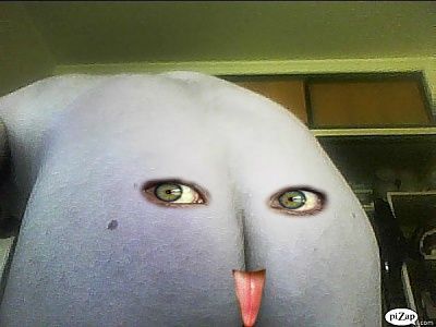 300382.thumb.jpg