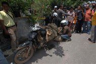 2011-09-07T152255Z_01_BTRE78616QB00_RTROPTP_2_INDONESIA-DOGS.jpg