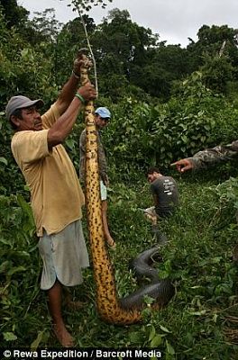 article-2038774-0df4b26800000578-507_306x464.jpg