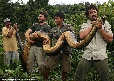article-2038774-0df4b33400000578-679_634x449.jpg
