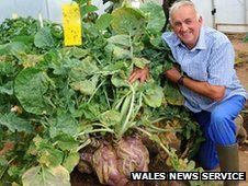 _55967044_wns_giant_swede_06.jpg