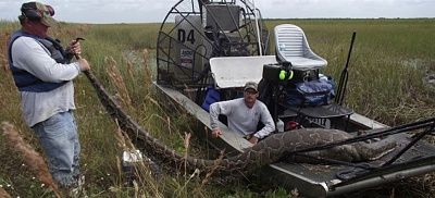 article-2054968-0e94d7a400000578-814_964x439.jpg