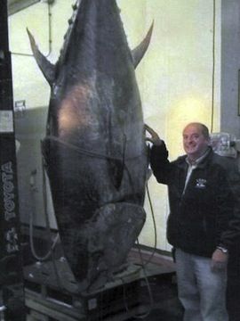 tuna.jpg