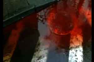 250112-blood.jpg