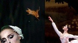 balletdeath.jpg