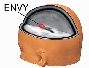 envy_in_brain.jpg
