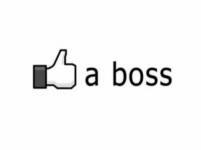 like-a-boss_878.jpg