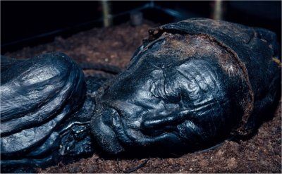Bones-of-200-soldiers-found-preserved-since-the-time-of-Jesus.jpg