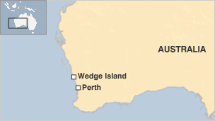 _61570632_australia_wedgeisland0714.gif