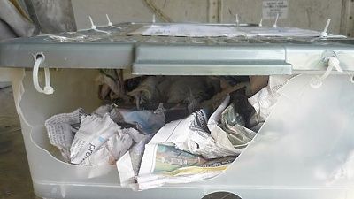 plastic-croc-box.jpg