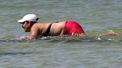 manatee1.jpg