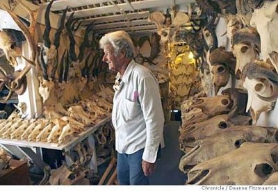 ray-bandar-bones2-550x378.jpg