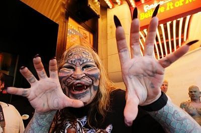 article-catman-1113.jpg