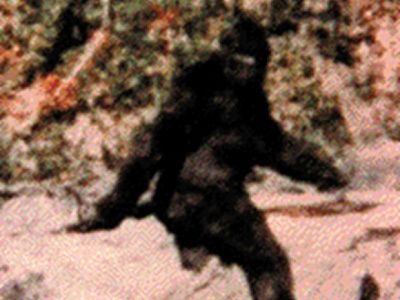 sasquatchfilm.jpg