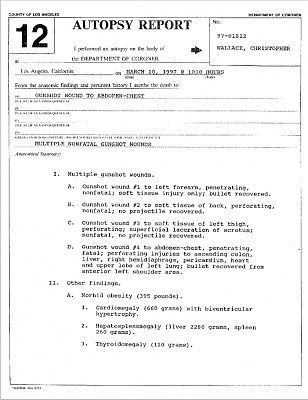 liveleak-dot-com-aa8b1b836ed2-untitled2.jpg.resized.jpg