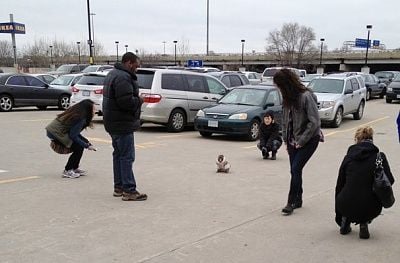 canada-wandering-20monkey.jpeg-0e1b7.jpg