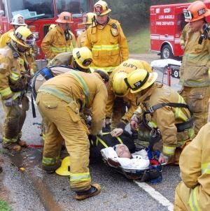 seatbelt2.jpg