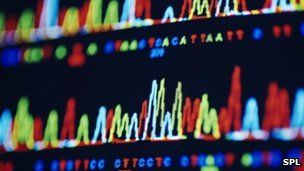 DNA.jpg
