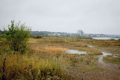 20general-20view-20of-20the-20swanscombe-20peninsula-20in-20swanscombe-2c-20kent-1368060.jpg