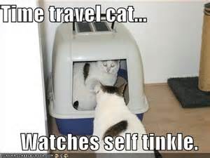 timetravelcat.jpg