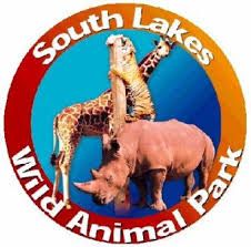 logo.jpg