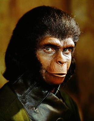 Zira.jpg