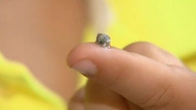 snail.jpg