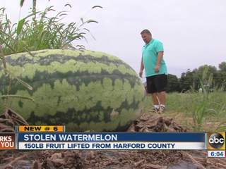 watermelon.jpg