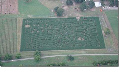 maze.jpg