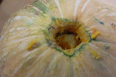 pumpkins-20-282-29.jpg