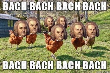 bach.jpg