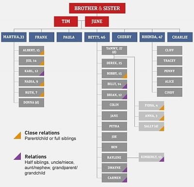 775958-familytree.jpg